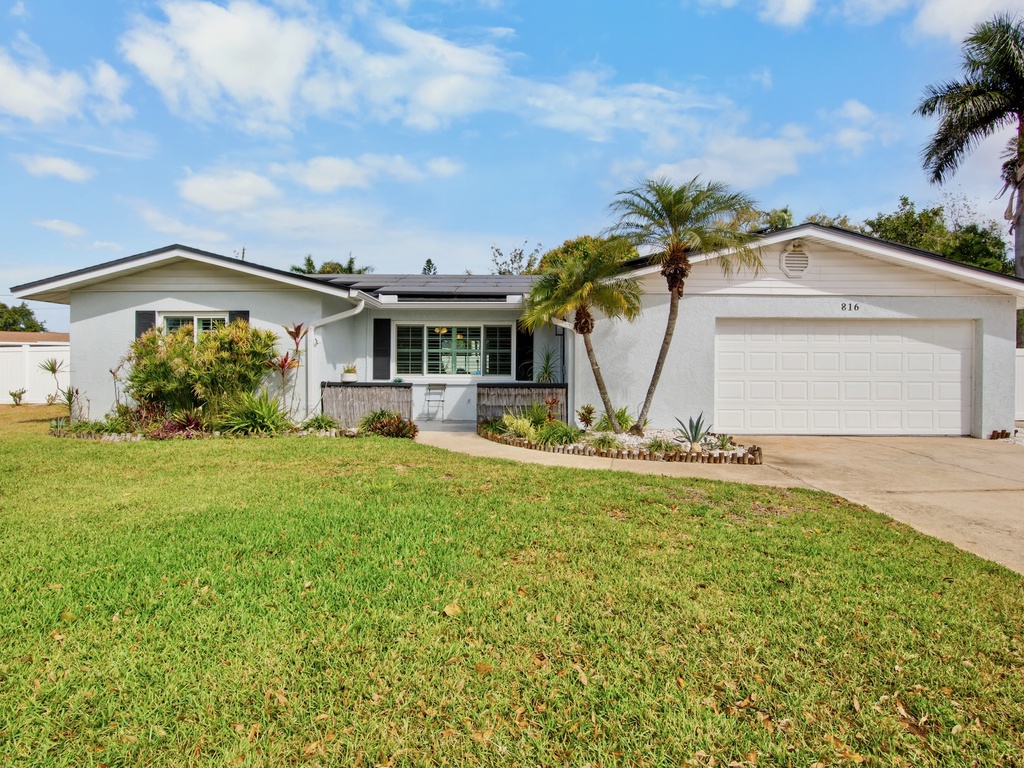 Mermaid Dreams by AMI Locals