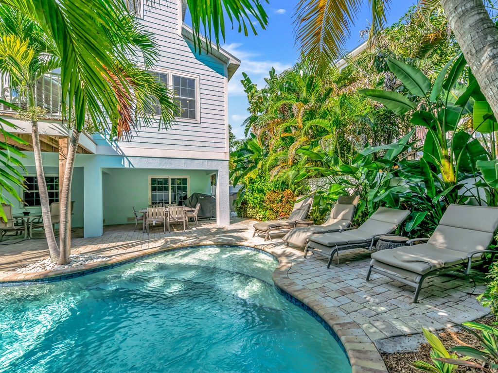 Sand Dollar by Anna Maria Vacations