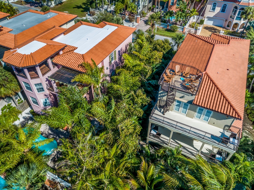 Its A Jungle Out There - By Anna Maria Island Accommodations