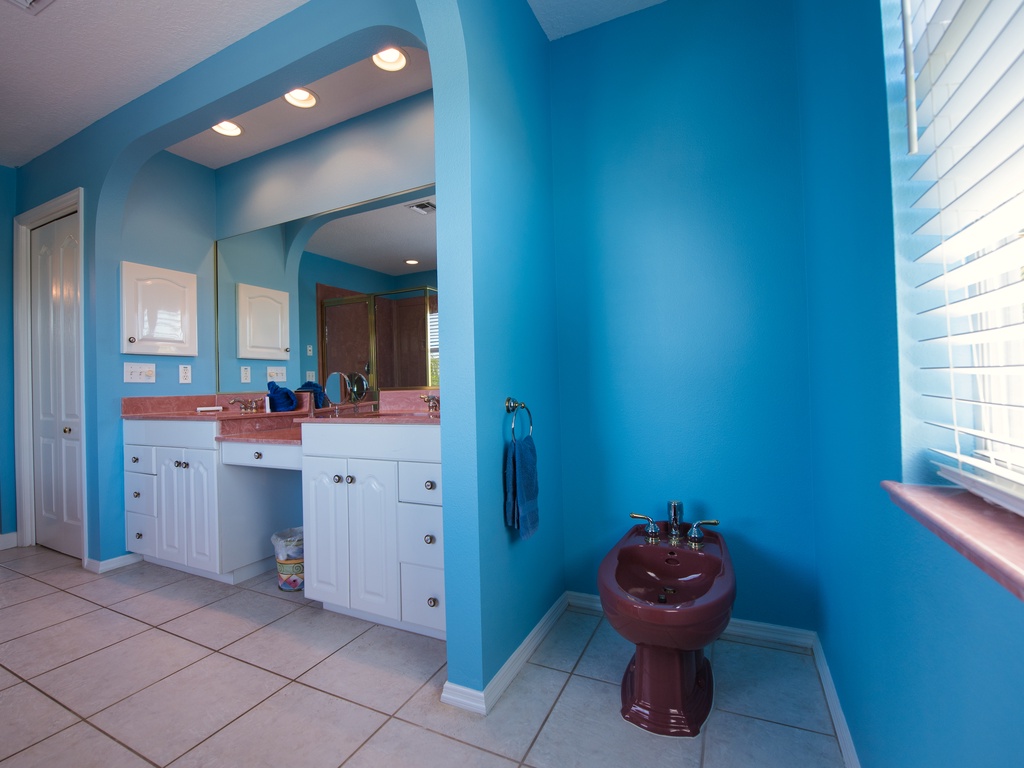 Primary En-Suite Bathroom - Bidet