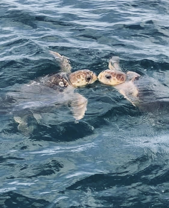 Blissful Bungalow by AMI Locals