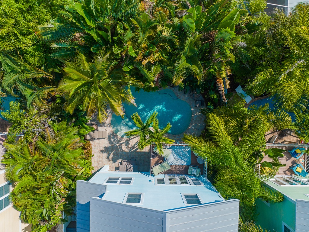 Sand Dollar by Anna Maria Vacations