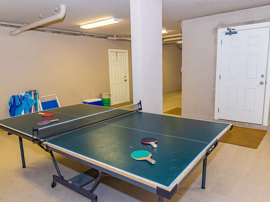Ping Pong Table