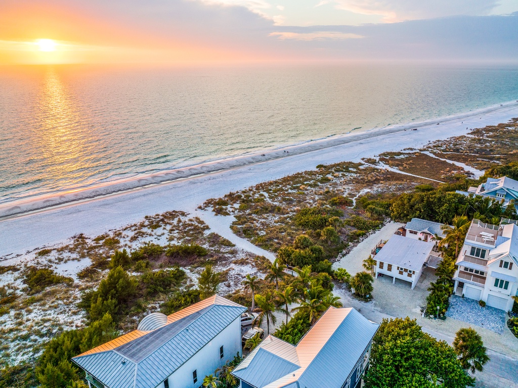 Low Tide - AMI Locals