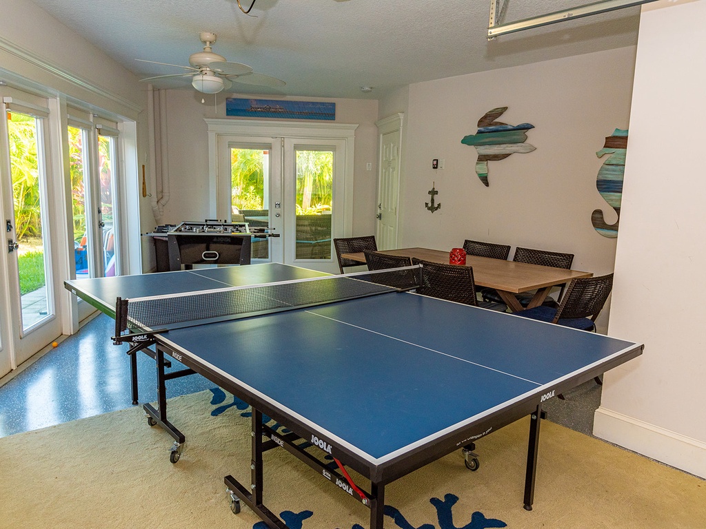 Ping Pong Table