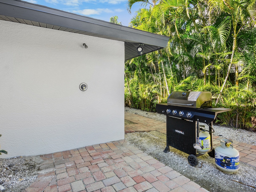 BBQ grill surrounded by lush palms