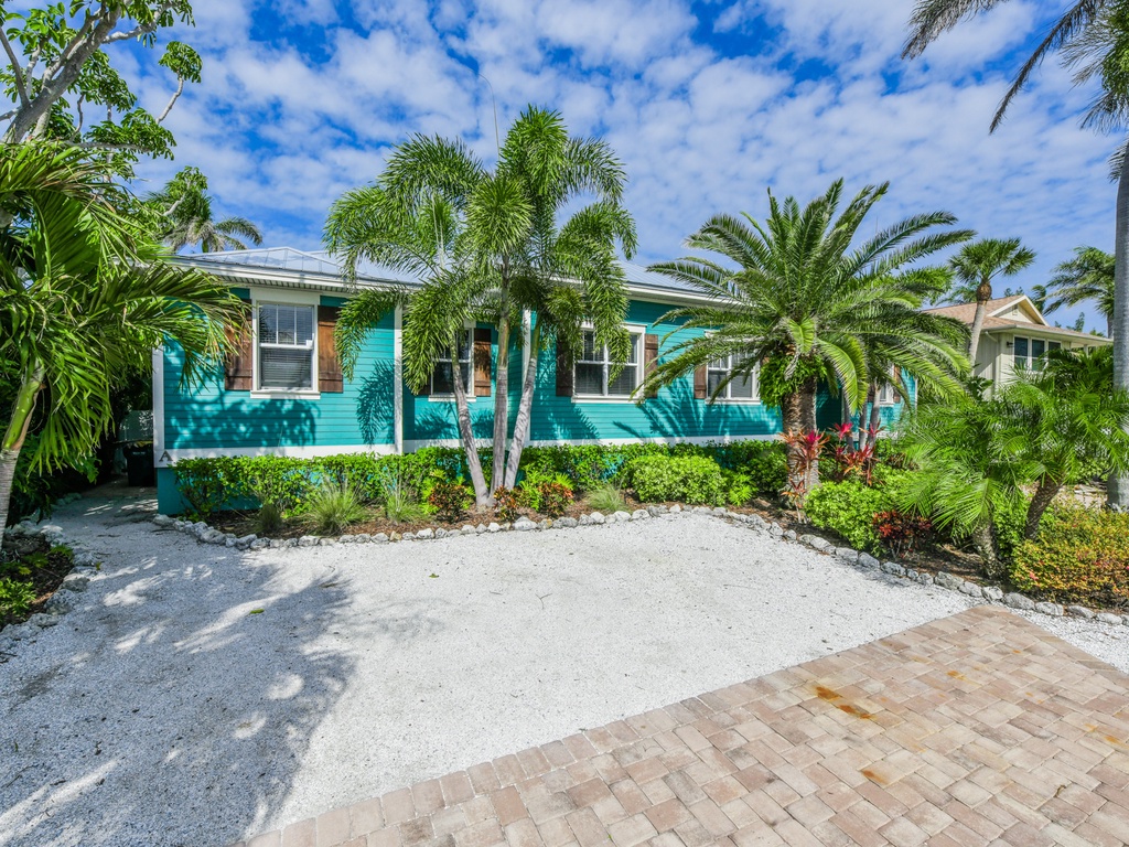 Caribbean Reef by AMI Locals