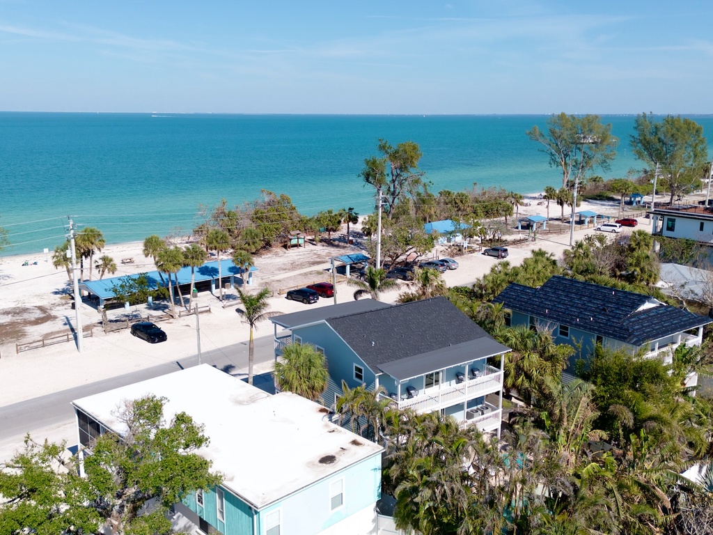 Bay Happy by AMI Locals