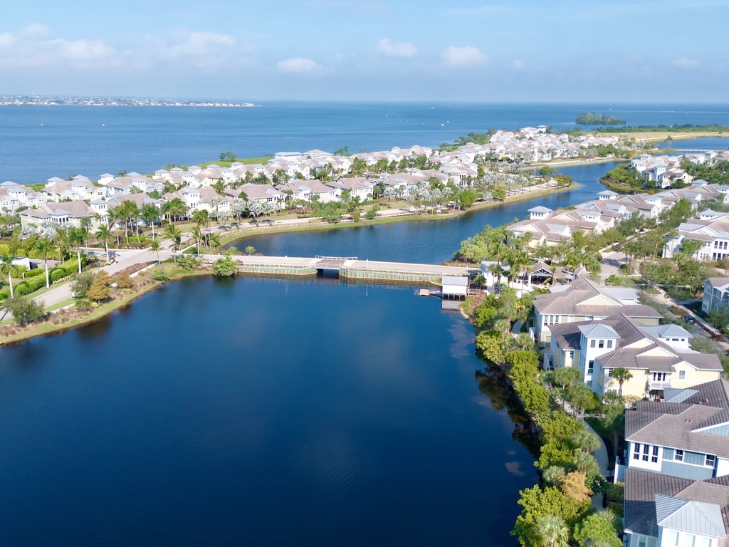 Feelin' Tip Sea- AMI Locals