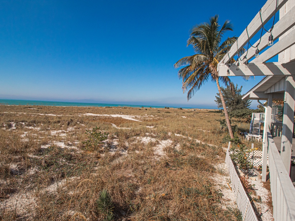 Sunshine State of Mind - AMI Locals