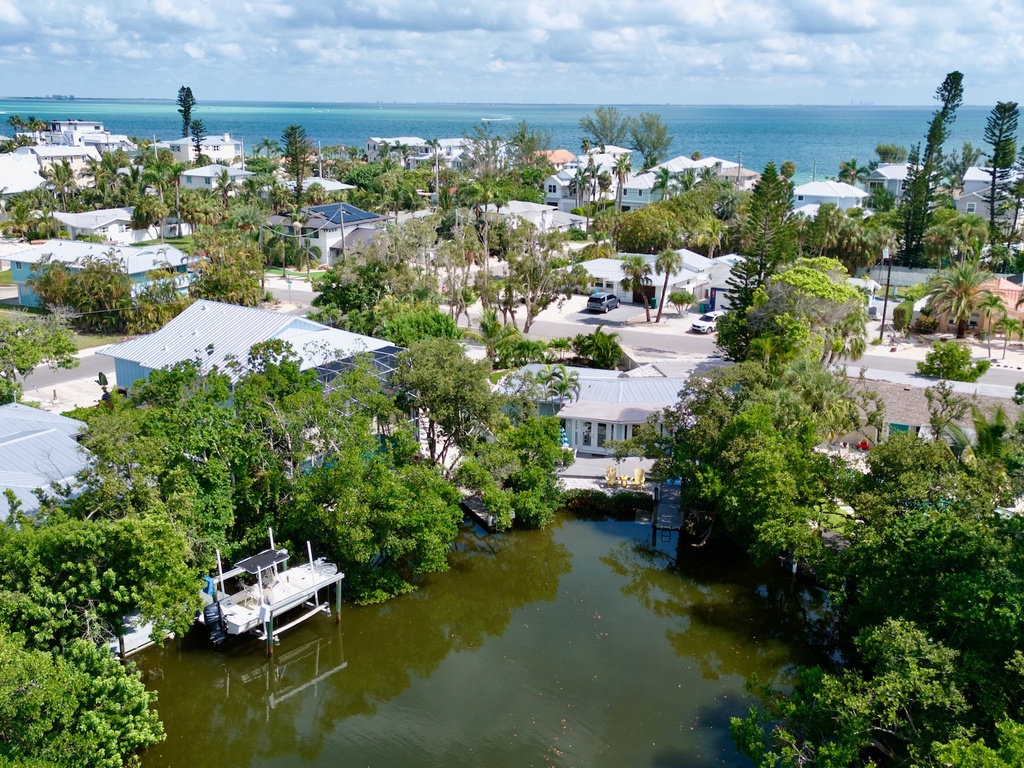 Palm Trees and Manatees by Anna Maria Vacations