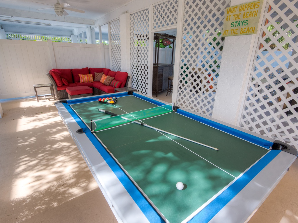 Pool/Ping Pong Table