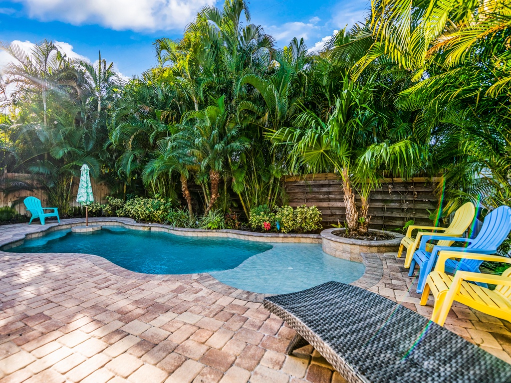 Pool and Lounge Chairs