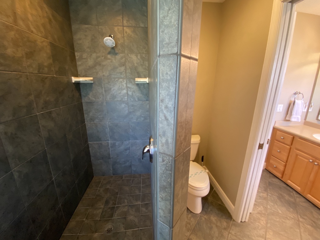 Primary Ensuite - Shower and Bath