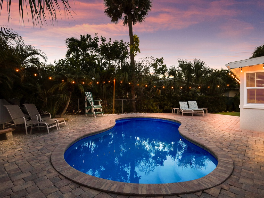 Sea Turtle - By Anna Maria Island Accommodations (38)