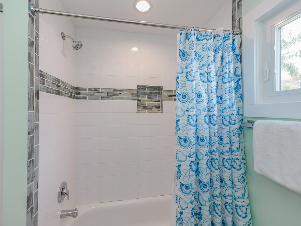 Elegant Tub and Rain Shower