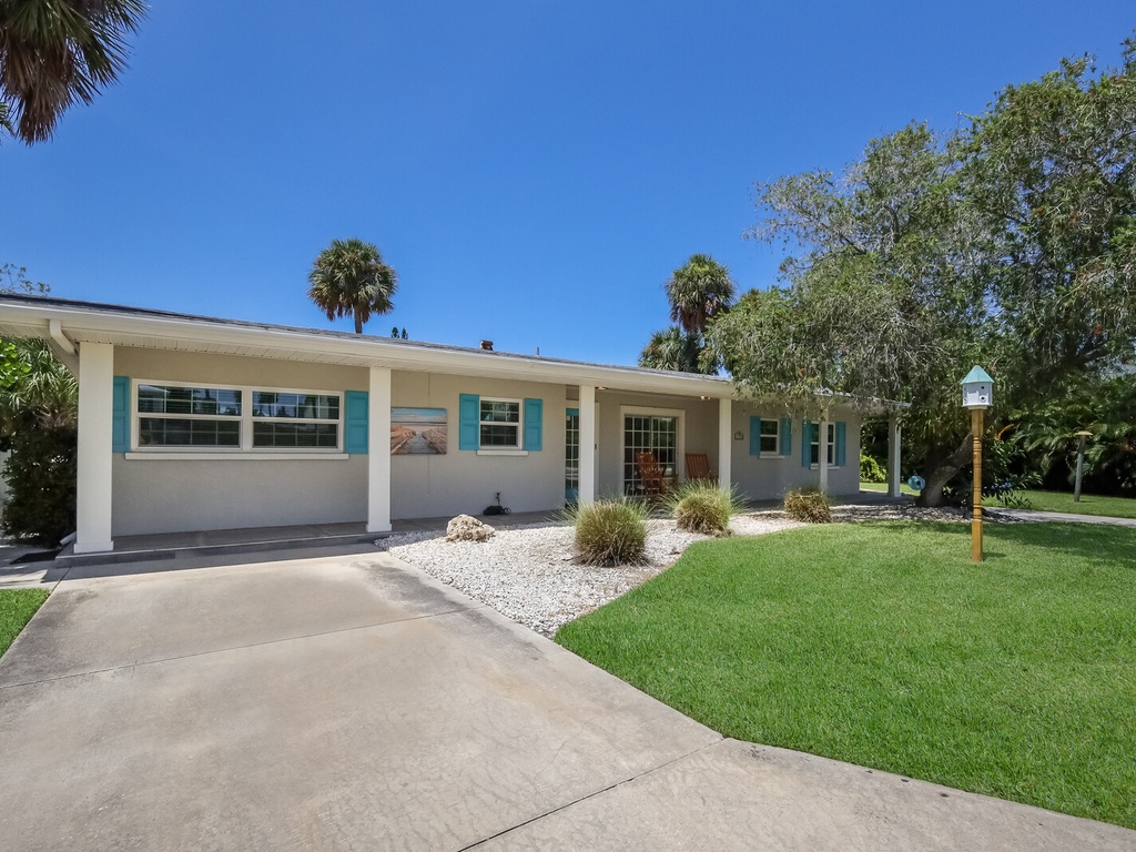 Sea Turtle - By Anna Maria Island Accommodations