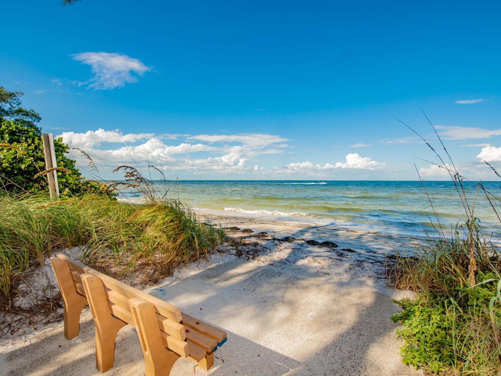 Amazing views of the beach