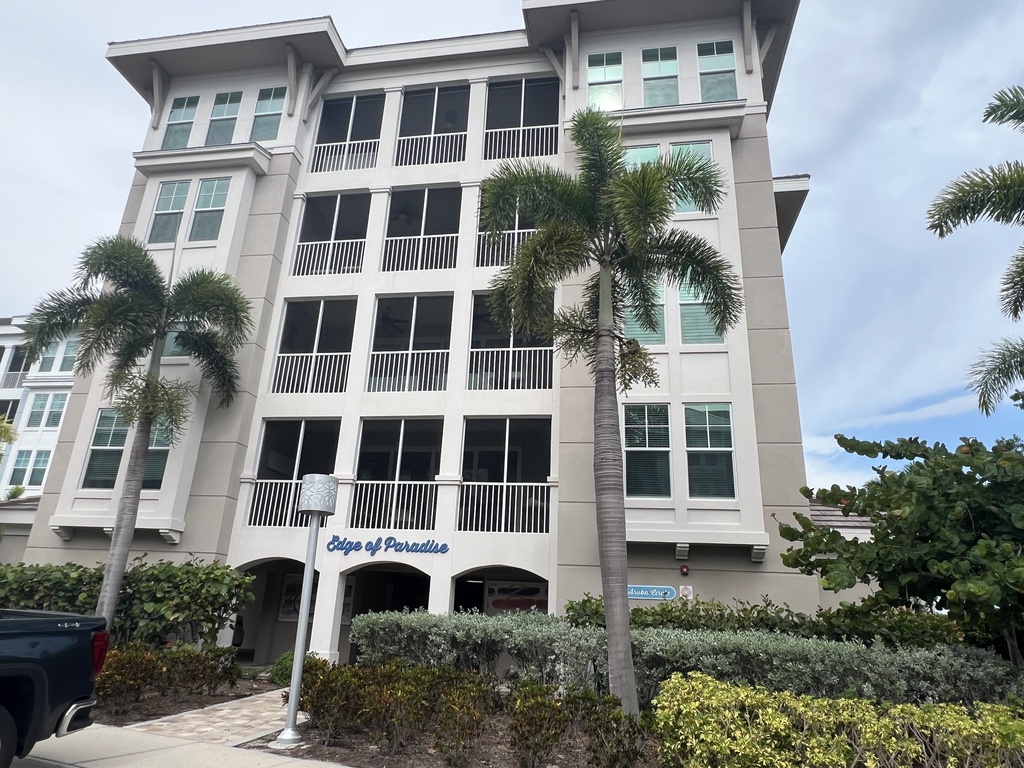 Feelin' Tip Sea- AMI Locals