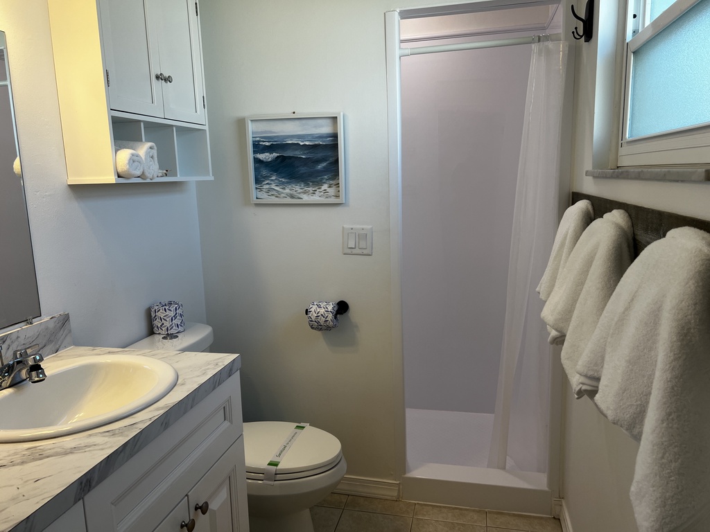 Mermaid Dreams-AMI Locals