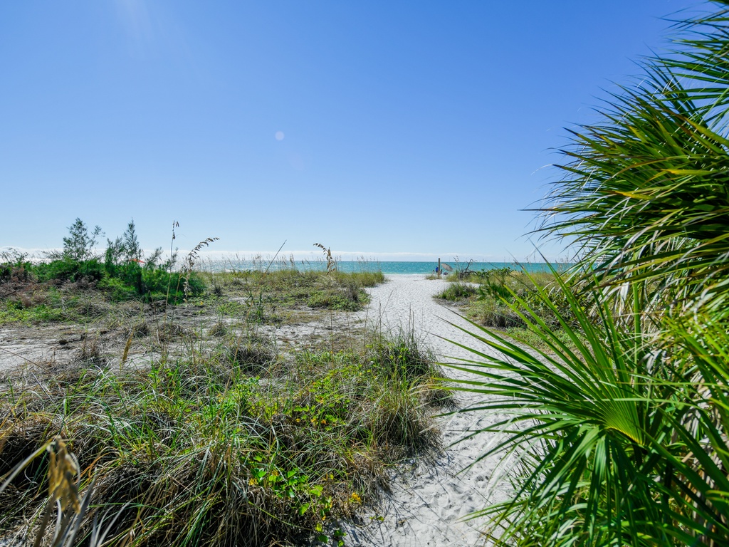 Sandy Trail With Ocean End