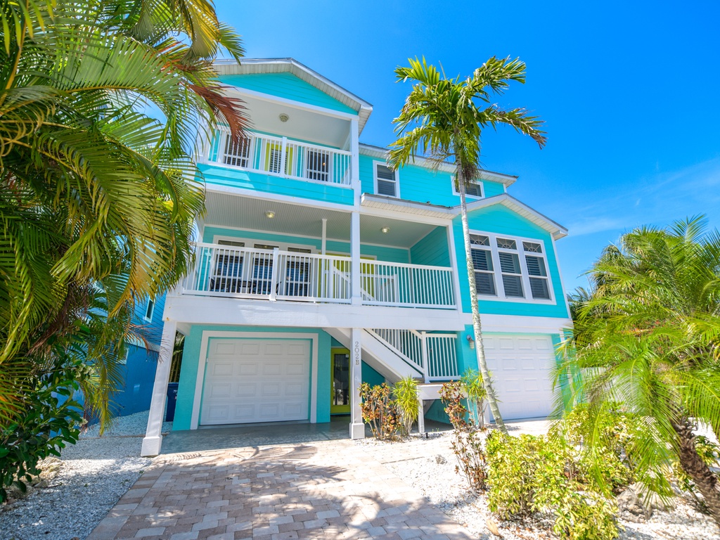 Blue Pineapple by AMI Locals