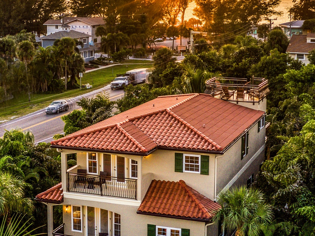 Its A Jungle Out There - By Anna Maria Island Accommodations