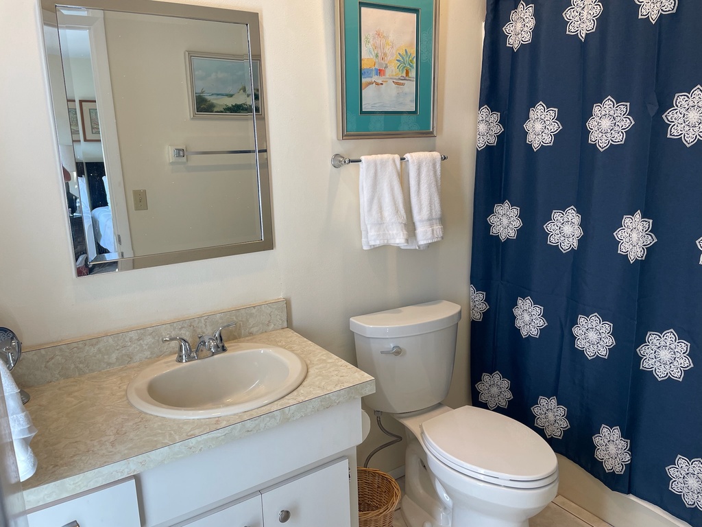 Sunshine State of Mind - AMI Locals