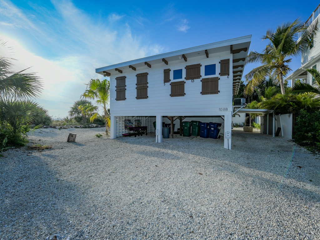 Low Tide - AMI Locals