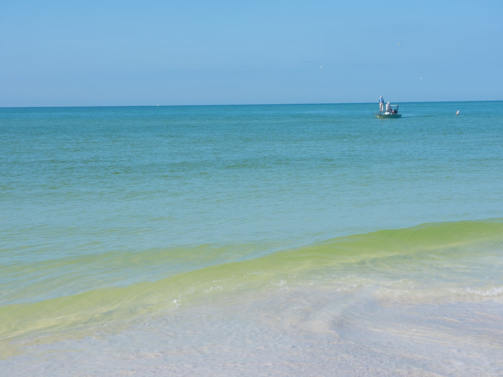 Ocean Waters