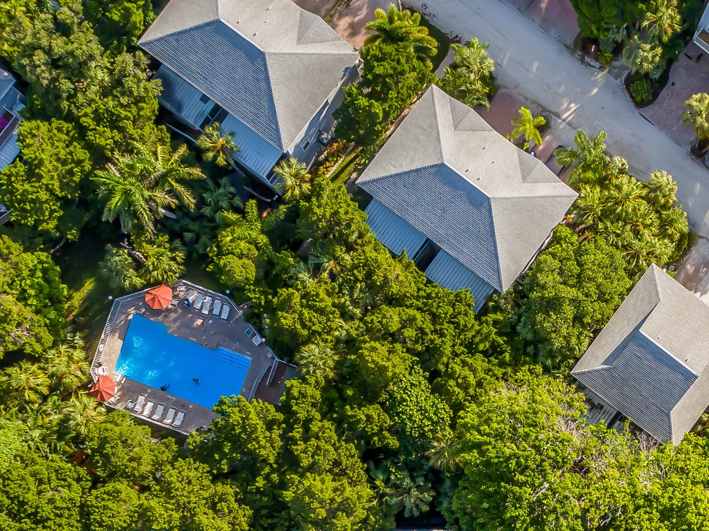 High view of the location