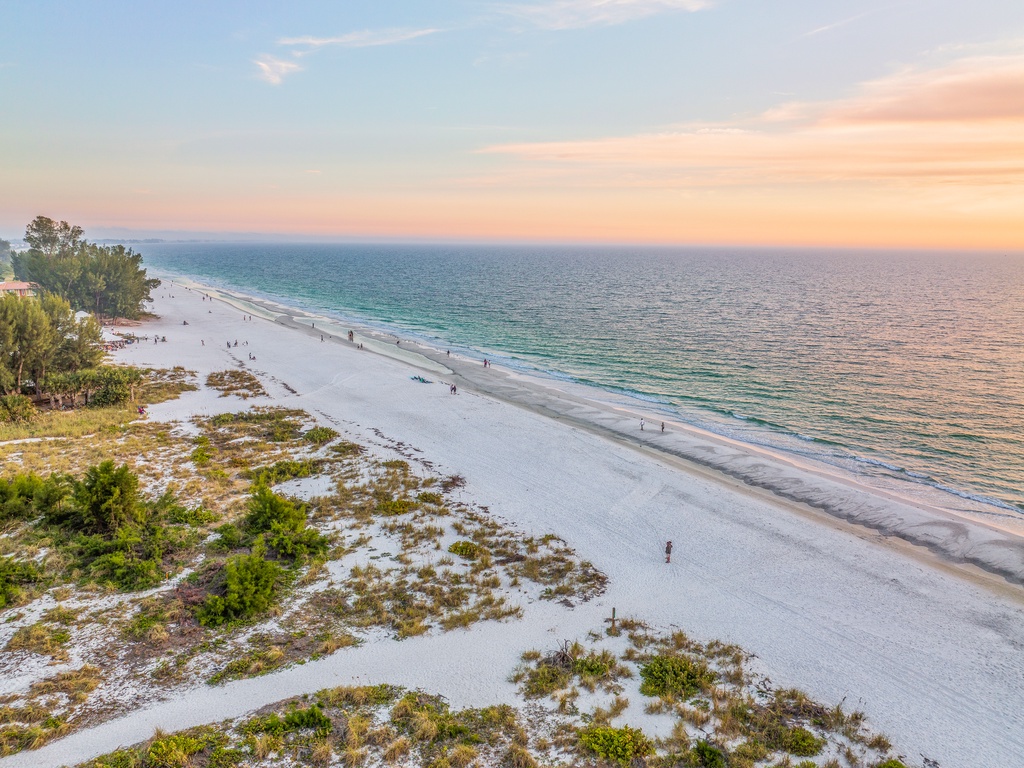 Low Tide - AMI Locals