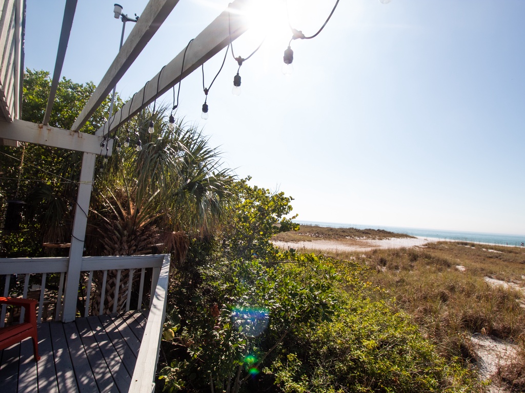 Sunshine State of Mind - AMI Locals