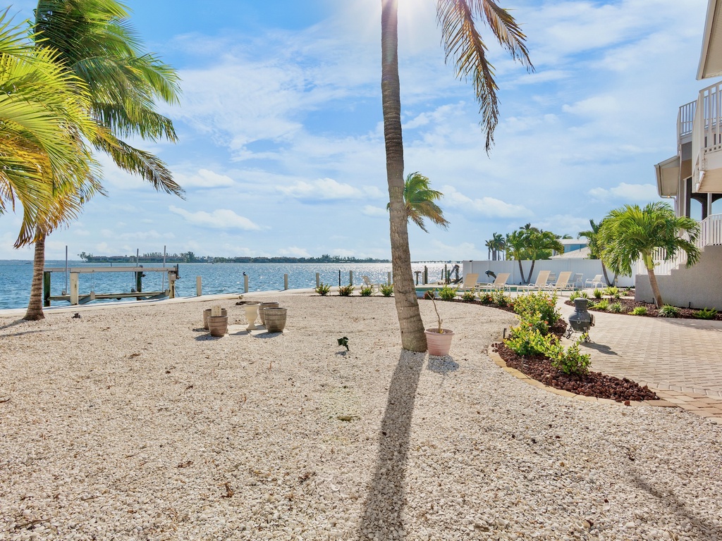 Spacious backyard perfect for gathering