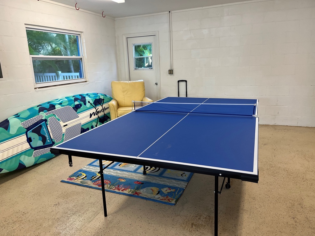 Ping Pong Table