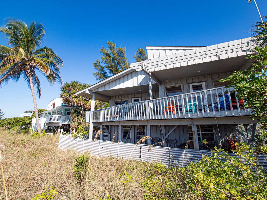 Sunshine State of Mind - AMI Locals