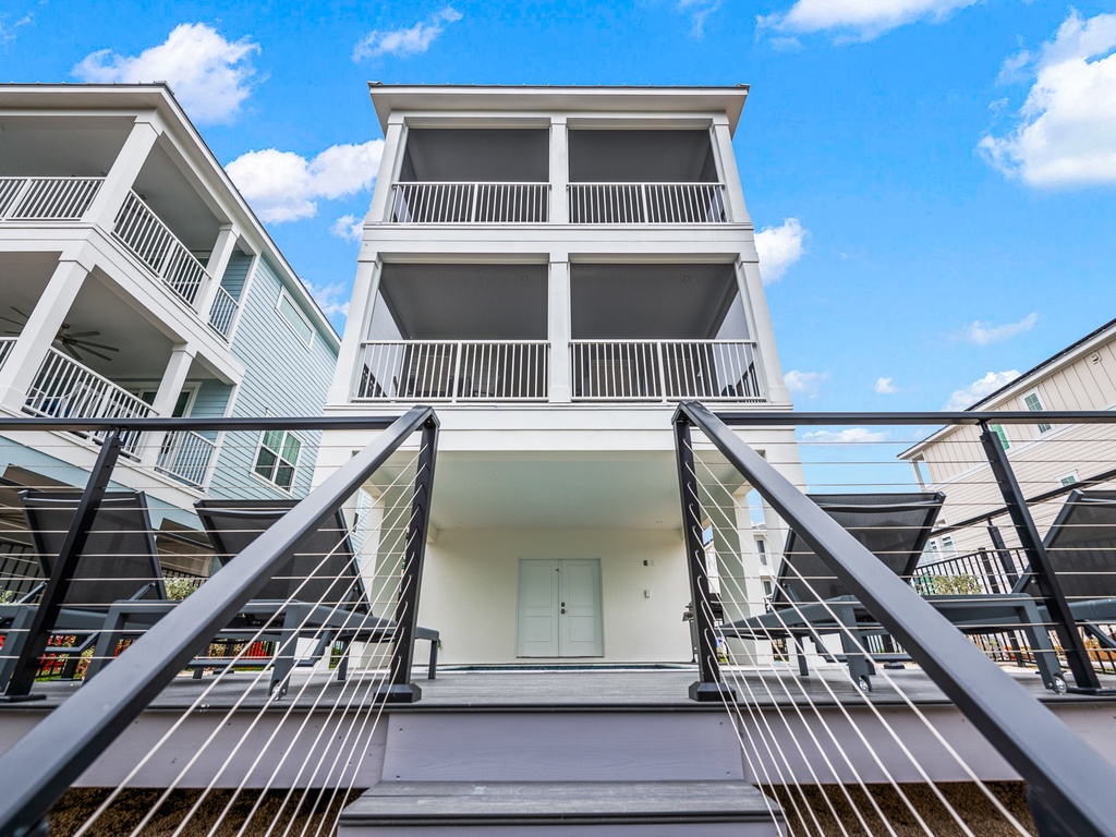 Low view of Salty Seagull