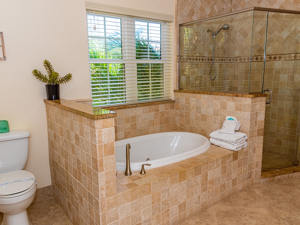 Main floor Master tub and Walk in shower