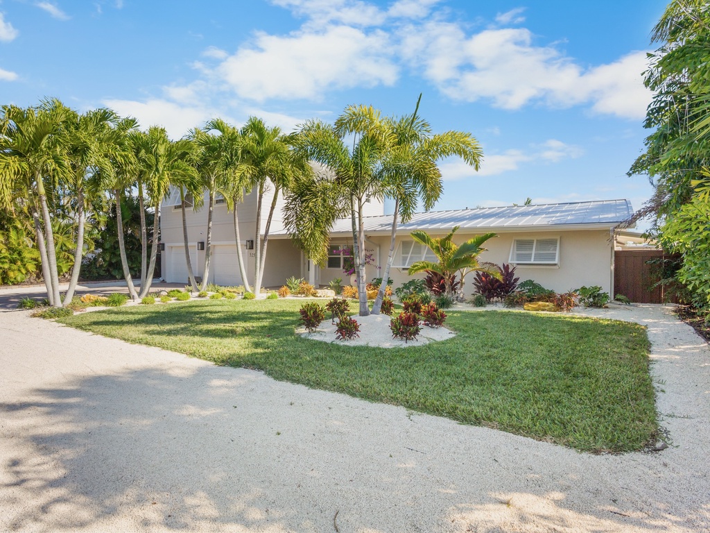 Dolphin Daze by Anna Maria Island Accommodations