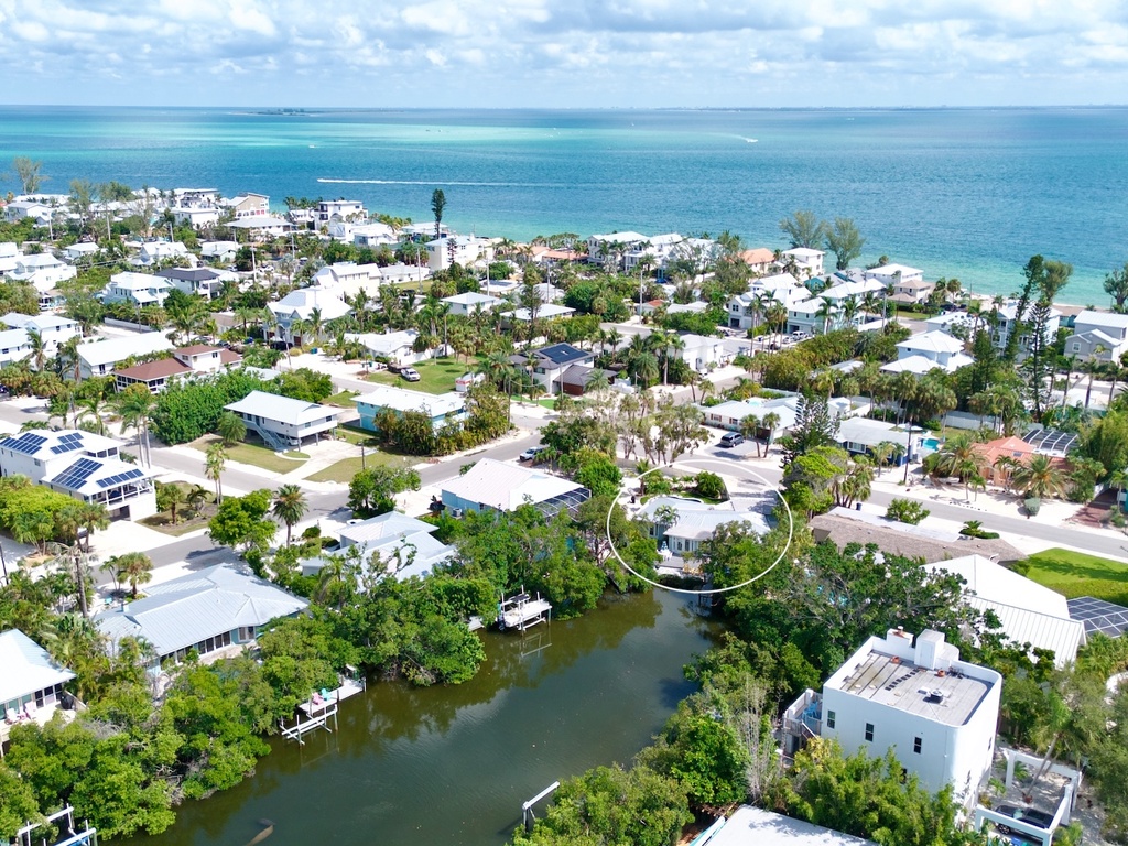 Palm Trees and Manatees by Anna Maria Vacations