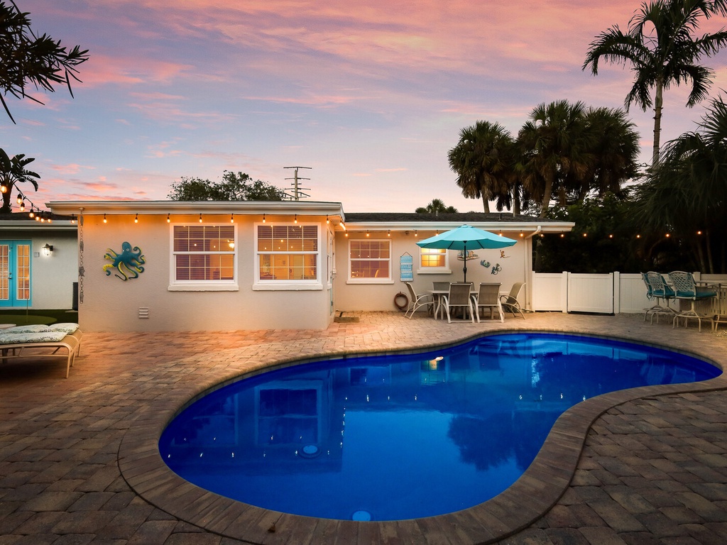 Sea Turtle - By Anna Maria Island Accommodations