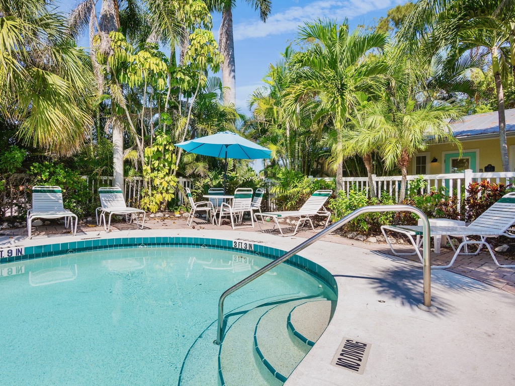 Shared Pool Loungers