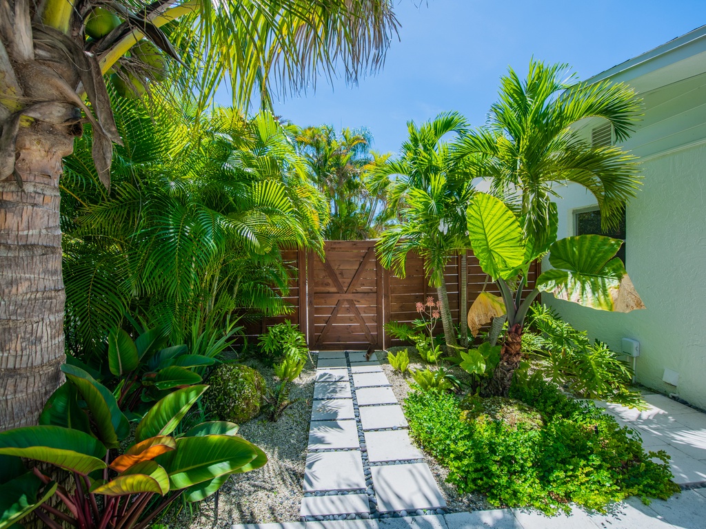 Pathways and Plants Surrounding