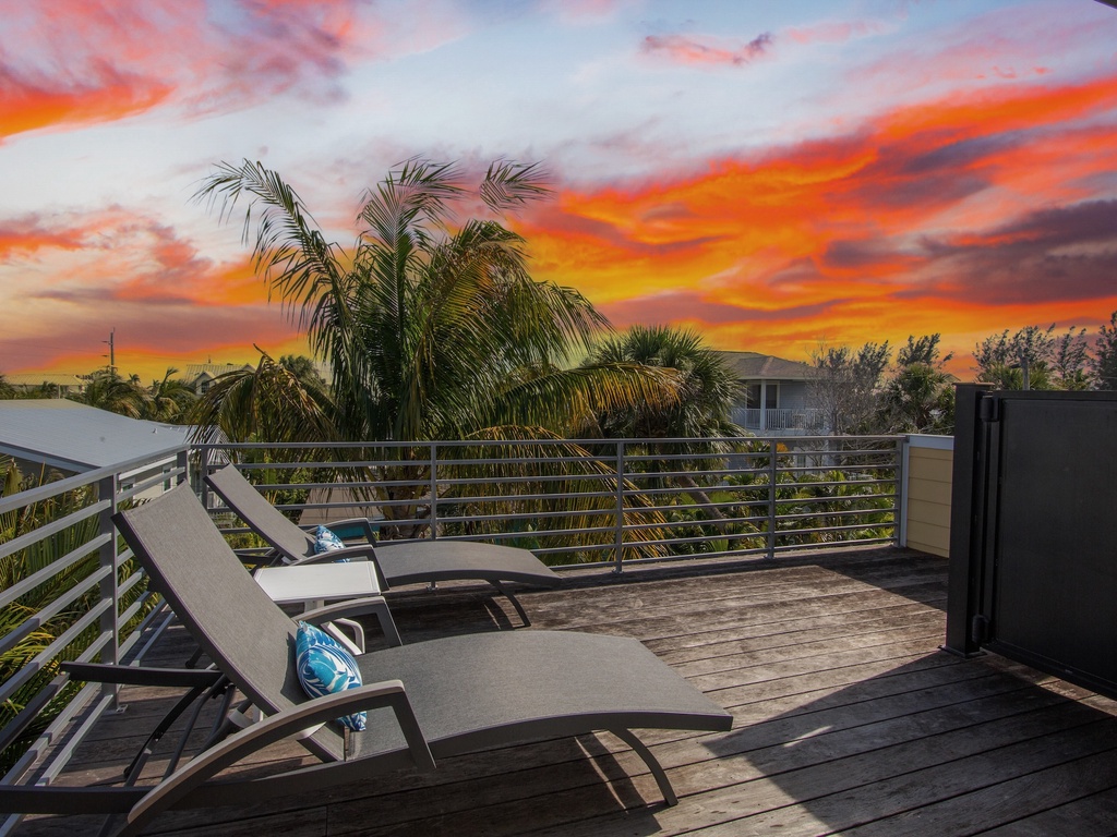Rooftop terrace overlooking tropical palms