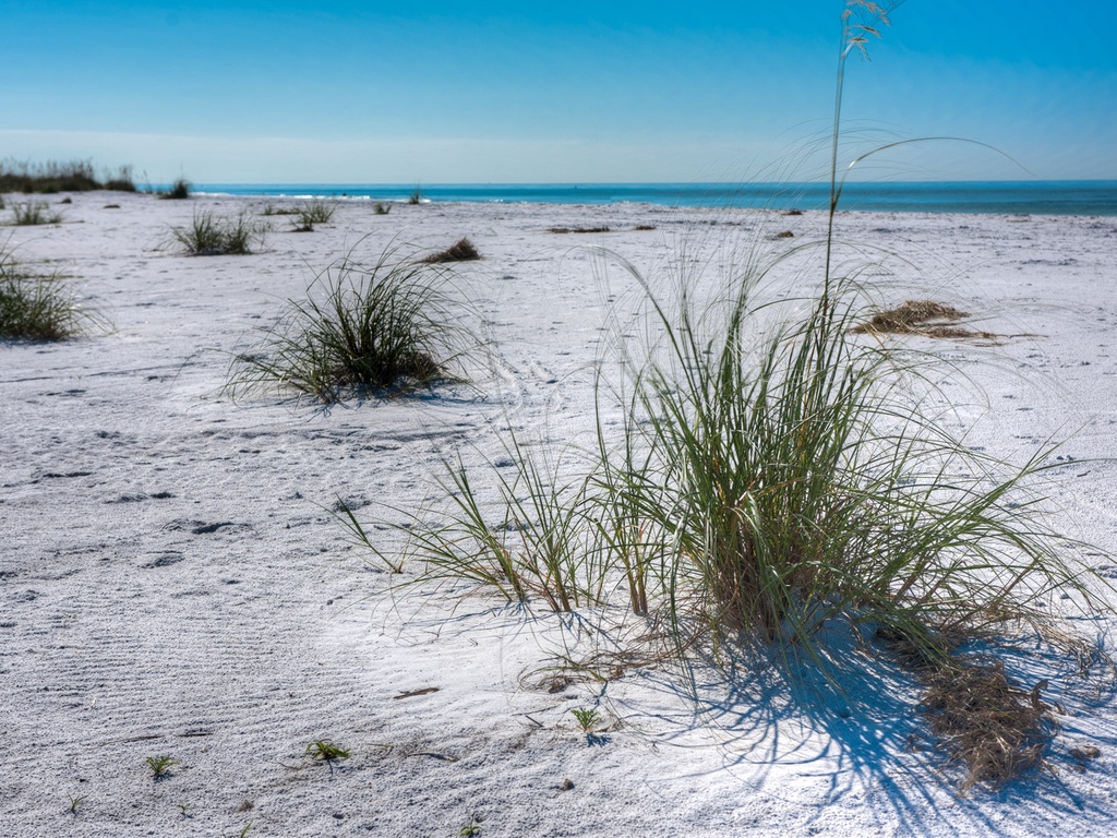 Anna Maria Island