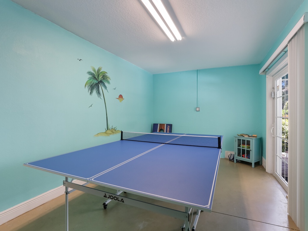 Ping Pong Table