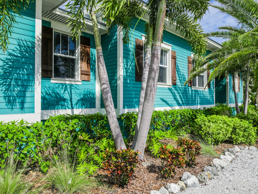 Caribbean Reef by AMI Locals