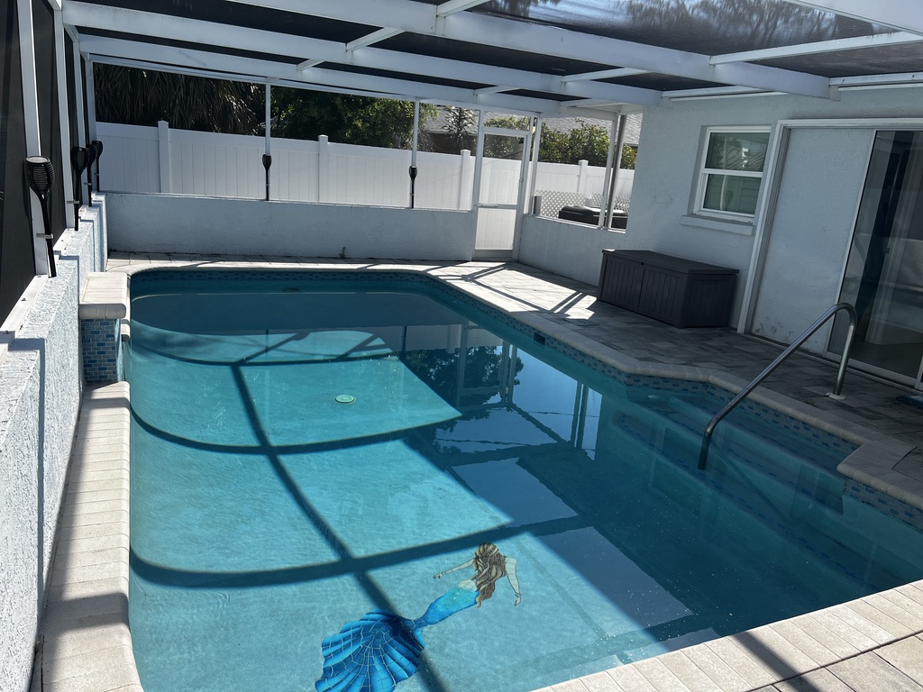 Mermaid Dreams-AMI Locals