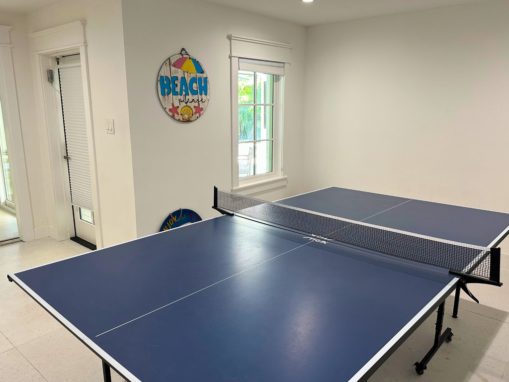 Ping Pong Table