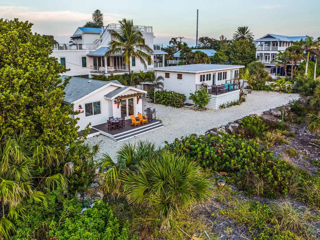 Low Tide - AMI Locals